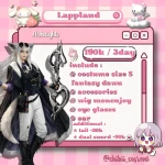 Rental lappland