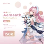 Rental Costume Aemeath