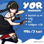 Yor (Assassin)